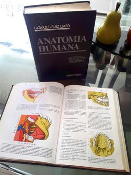 ANATOMIA HUMANA (T. II) (3ª ED.) MICHEL LATARJET, ALFREDO RUIZ LIARD