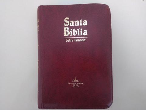 BIBLIA REINA-VALERA 1960 CON PALABRAS DE JESUCRISTO EN ROJO