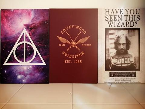 Vendo Cuadros Decorativos Harry Potter