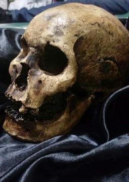 Cráneo Humano,calavera Realista Yeso