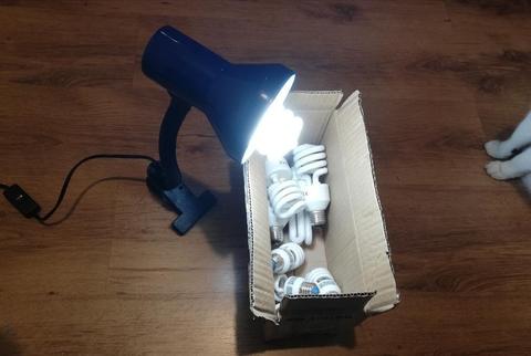 NEGOCIABLE Lámpara de escritorio con 10 Bombillos ahorradores de luz blanca. Todo usado en muy buen estado