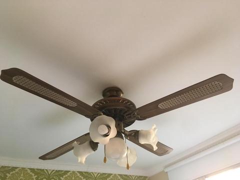 Ventilador de lujo