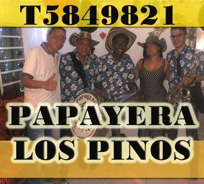 T5849821 Papayera Medellin Chirimias en Medellin Papayeras