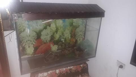 Vende Acuario Medi96 de Lar 59 Alt 30an