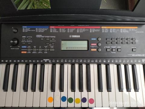 Organeta Yamaha E263
