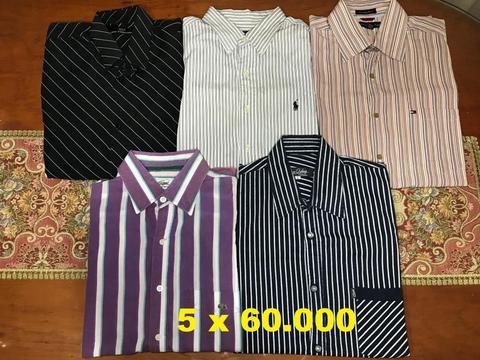 Cinco camisas de marca Talla: L En muy buenas condiciones Buen Precio