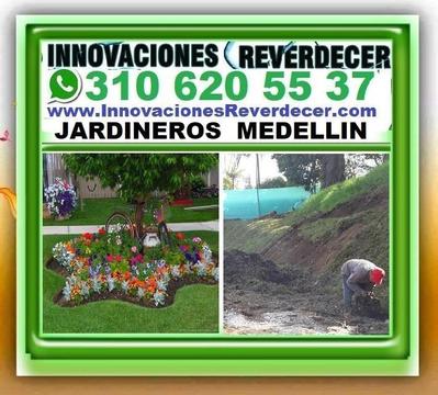 JARDINEROS, Paisajismo, Diseño De Jardines, Verticales, Decoracion En Piedra, Podador, Cascadas Piletas Fuentes De Agua