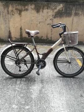 Bicicleta Panadera Bernalli